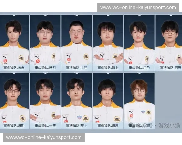 KPL比赛战术演变趋势